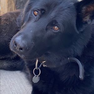 Meet your Posher, Mario